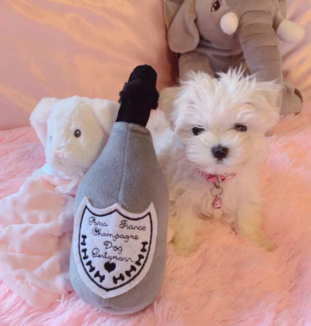 {{brizy_dc_image_alt entityId=